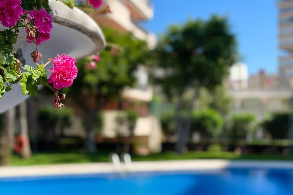 Encantador Y Coqueto Loft A 8 Min. De La Playa. 阿利坎特 外观 照片