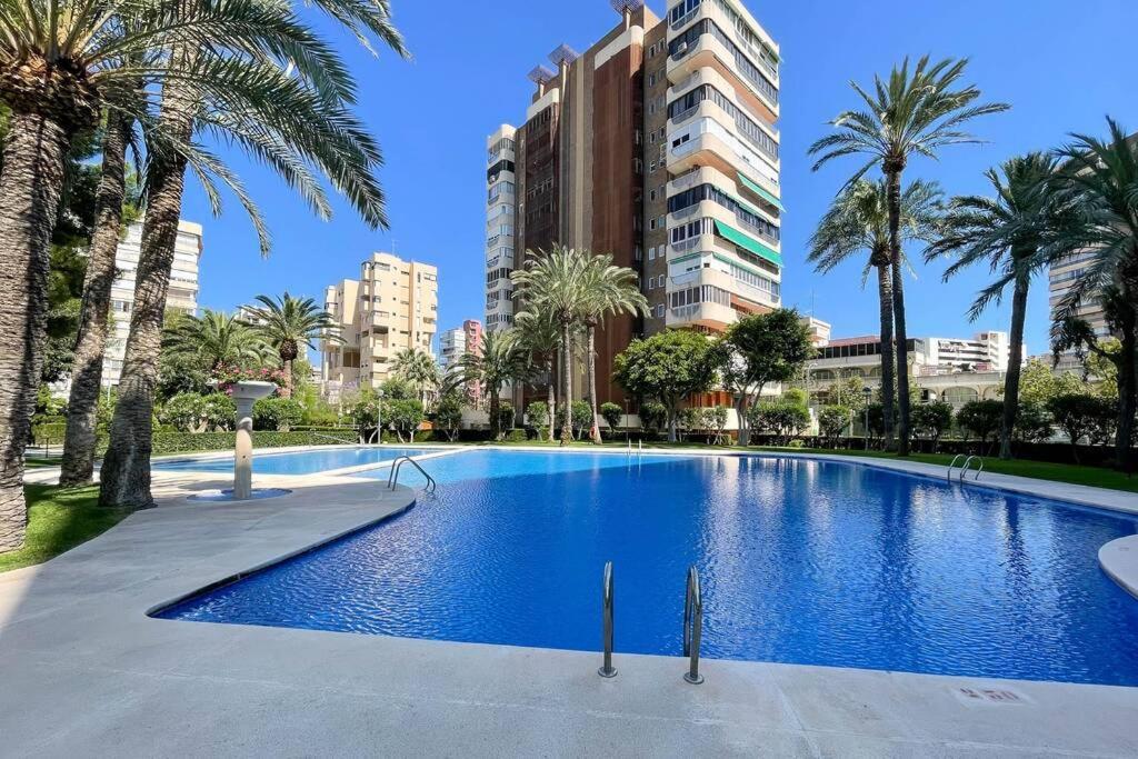 Encantador Y Coqueto Loft A 8 Min. De La Playa. 阿利坎特 外观 照片