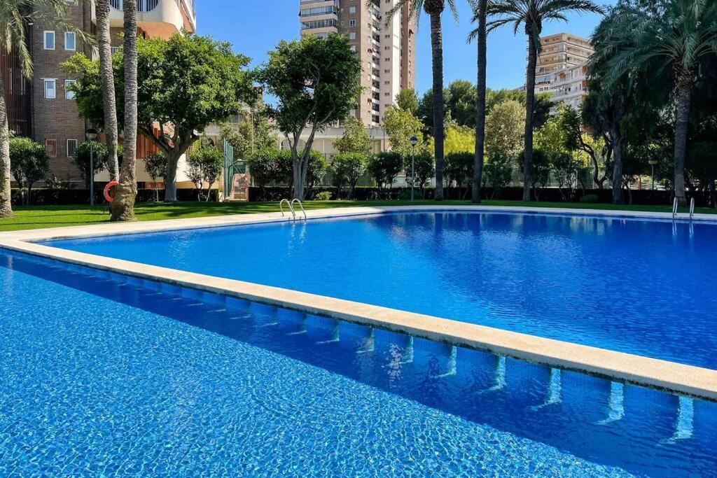 Encantador Y Coqueto Loft A 8 Min. De La Playa. 阿利坎特 外观 照片