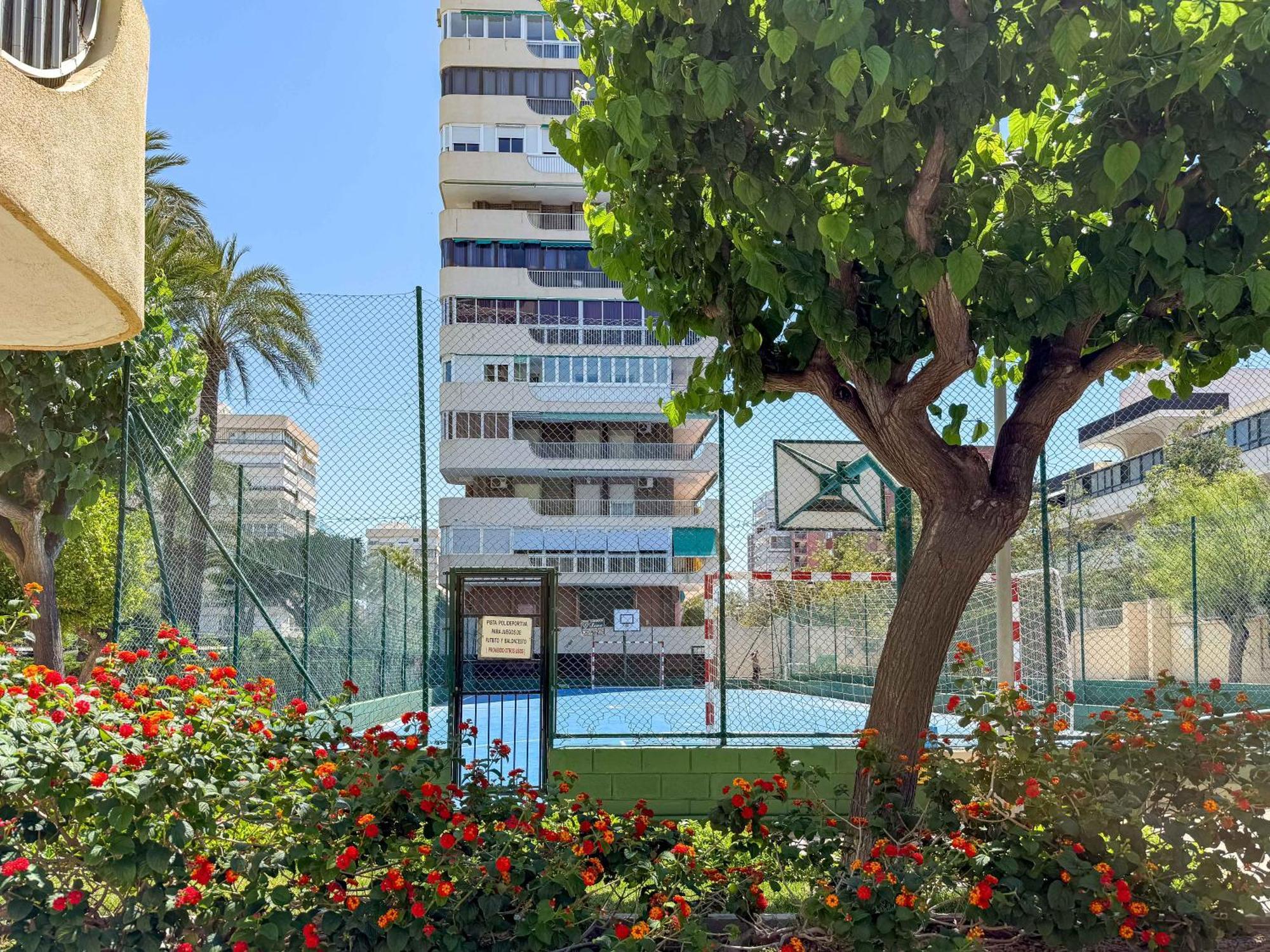 Encantador Y Coqueto Loft A 8 Min. De La Playa. 阿利坎特 外观 照片