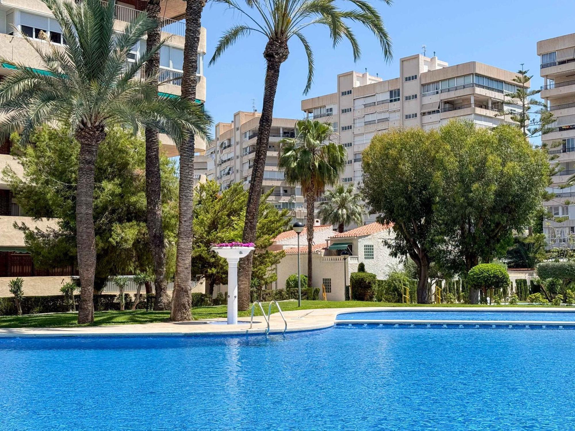 Encantador Y Coqueto Loft A 8 Min. De La Playa. 阿利坎特 外观 照片